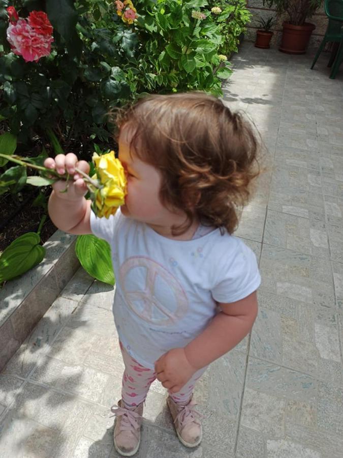 Guest House ,, Ekaterina" Nesebar Luaran gambar